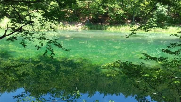 Apartmani Grza Paracin Bagian luar foto