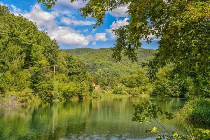 Apartmani Grza Paracin Bagian luar foto