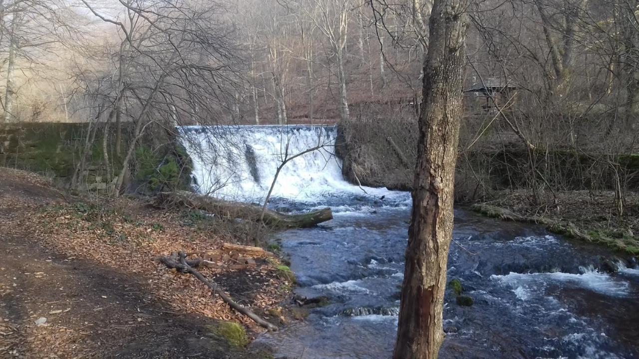 Apartmani Grza Paracin Bagian luar foto