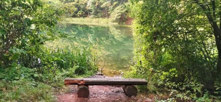 Apartmani Grza Paracin Bagian luar foto