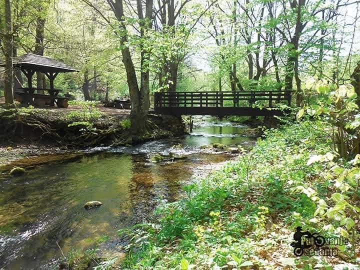 Apartmani Grza Paracin Bagian luar foto