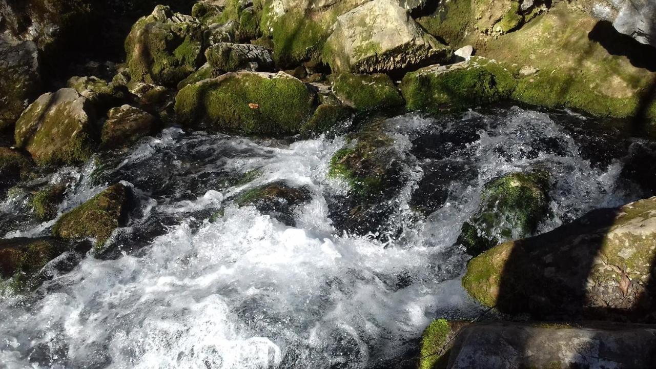 Apartmani Grza Paracin Bagian luar foto
