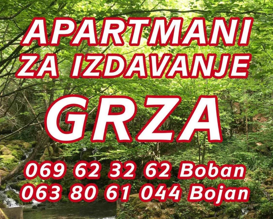 Apartmani Grza Paracin Bagian luar foto