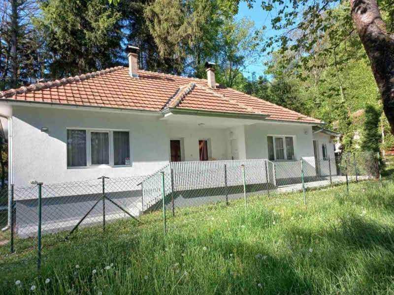Apartmani Grza Paracin Bagian luar foto