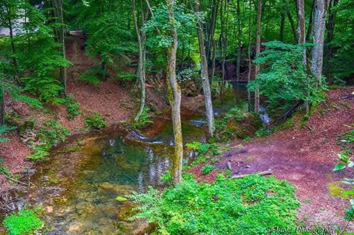 Apartmani Grza Paracin Bagian luar foto