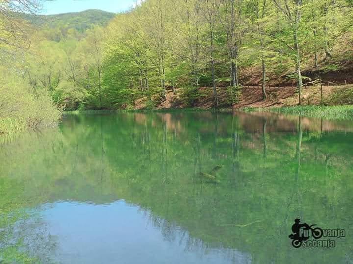 Apartmani Grza Paracin Bagian luar foto