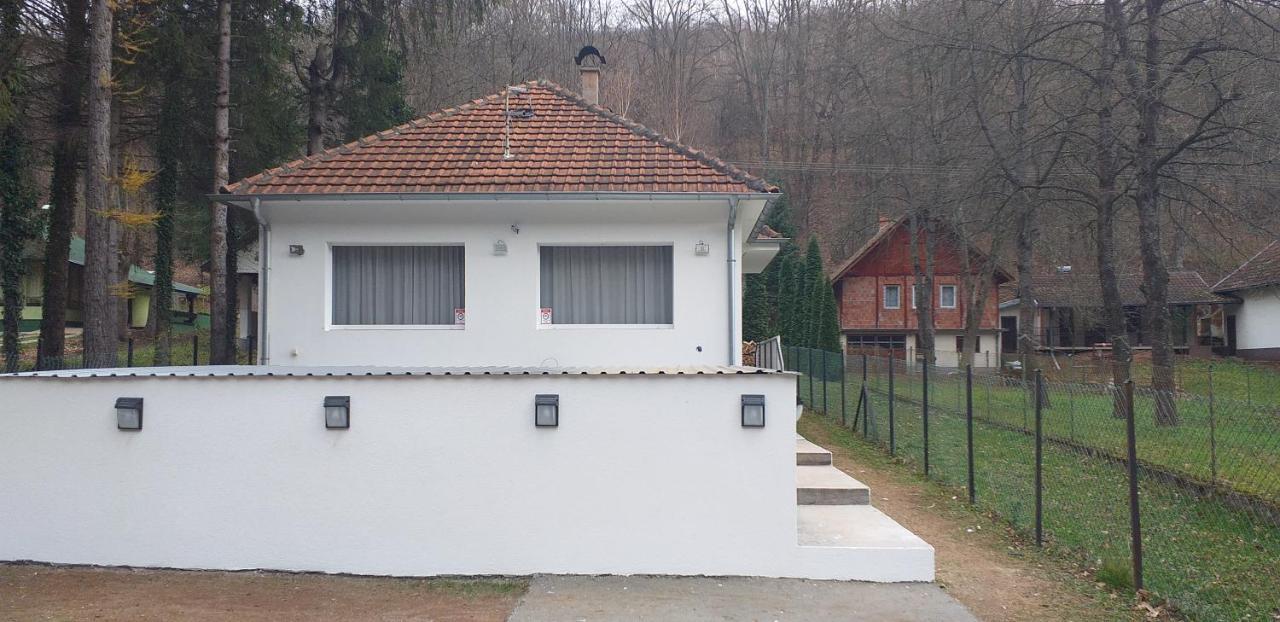 Apartmani Grza Paracin Bagian luar foto