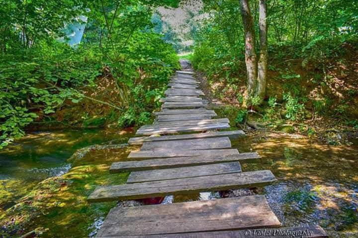 Apartmani Grza Paracin Bagian luar foto
