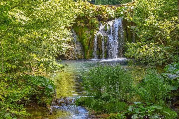 Apartmani Grza Paracin Bagian luar foto