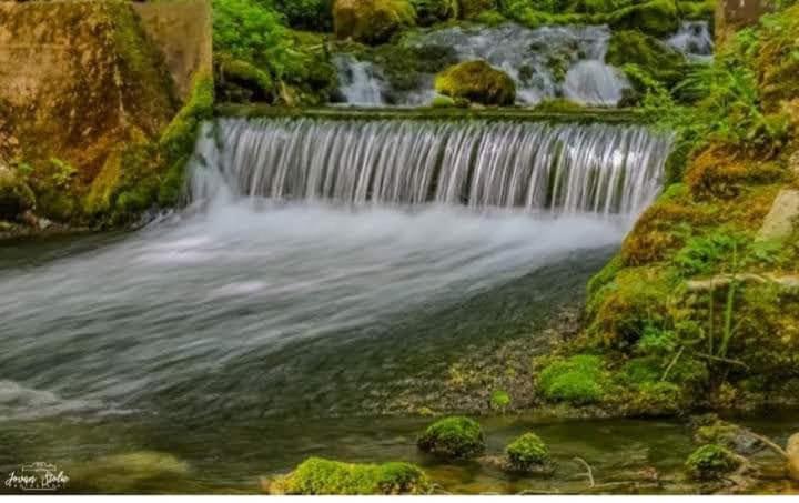 Apartmani Grza Paracin Bagian luar foto