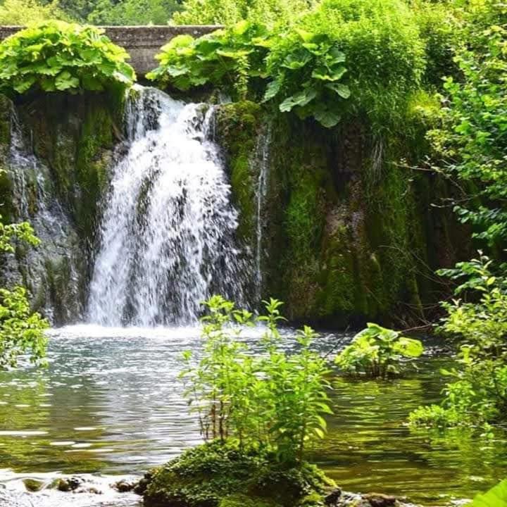 Apartmani Grza Paracin Bagian luar foto