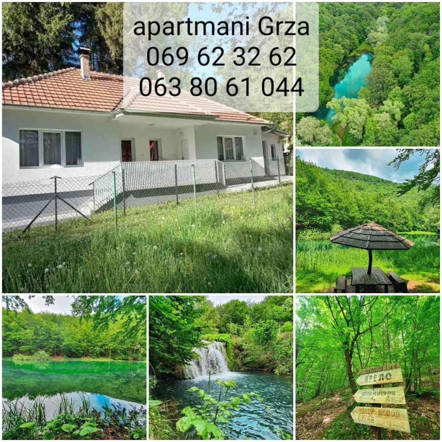 Apartmani Grza Paracin Bagian luar foto