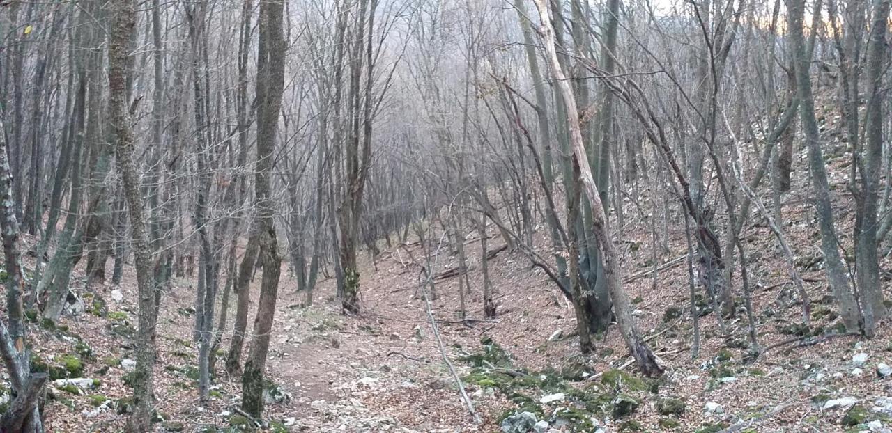 Apartmani Grza Paracin Bagian luar foto