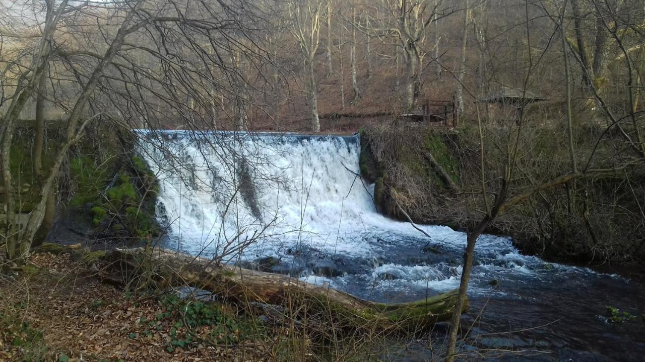 Apartmani Grza Paracin Bagian luar foto