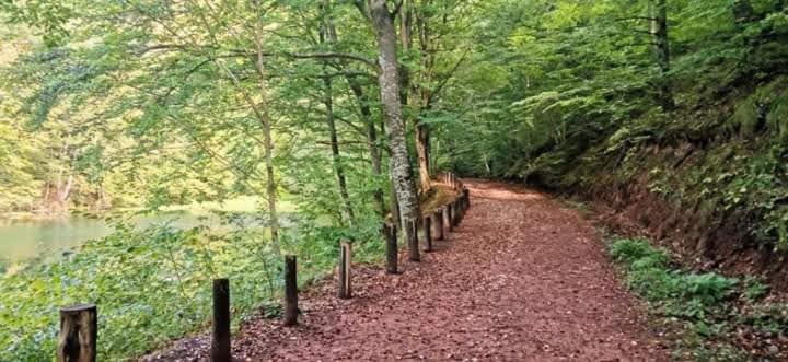 Apartmani Grza Paracin Bagian luar foto