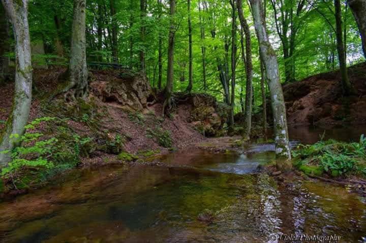 Apartmani Grza Paracin Bagian luar foto