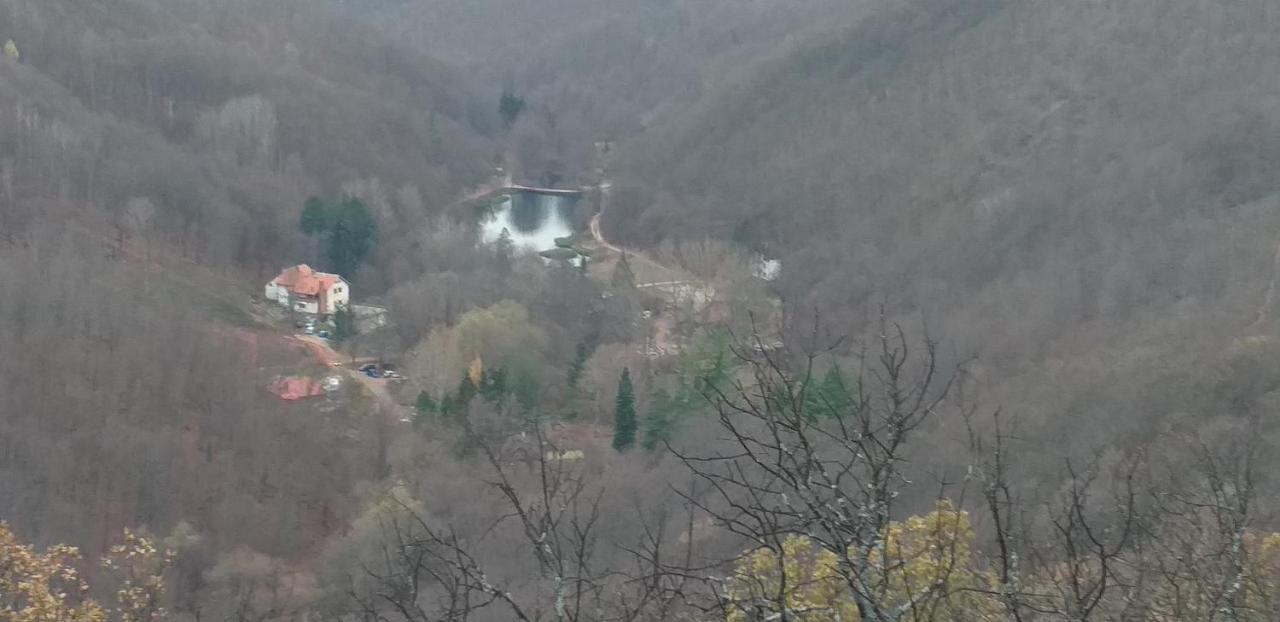 Apartmani Grza Paracin Bagian luar foto