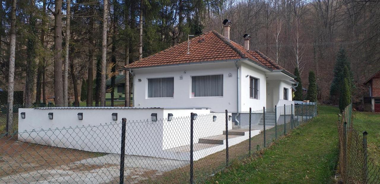 Apartmani Grza Paracin Bagian luar foto