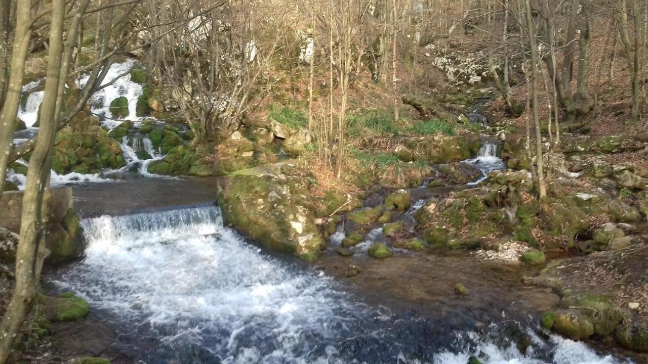 Apartmani Grza Paracin Bagian luar foto