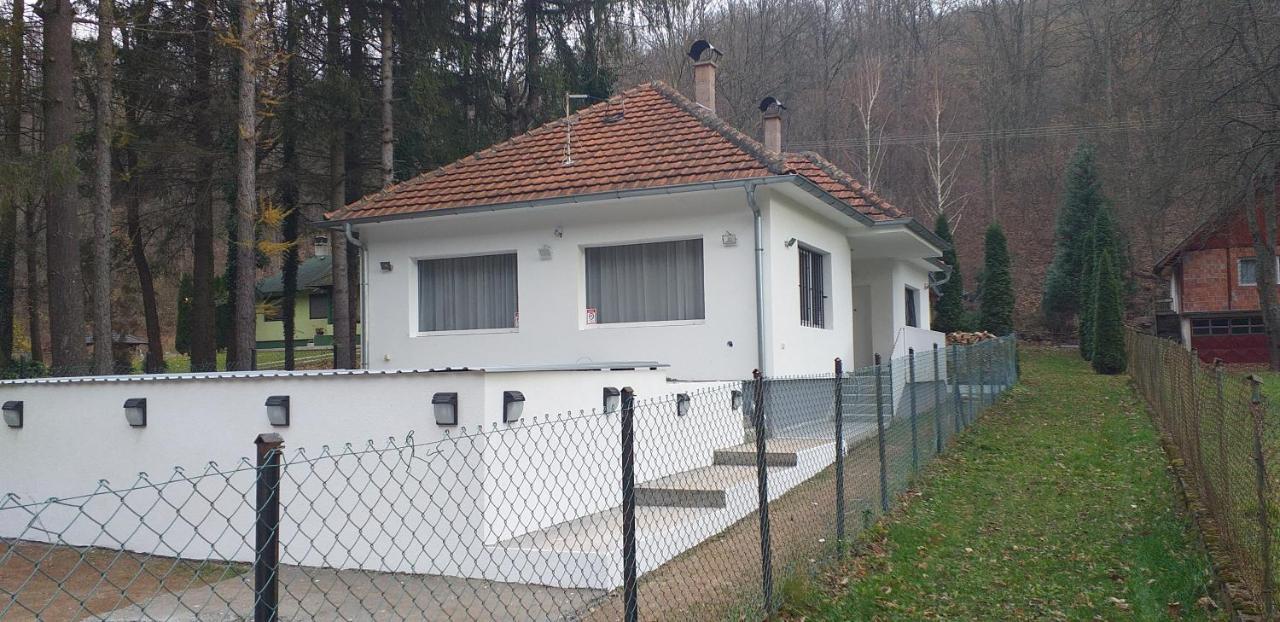 Apartmani Grza Paracin Bagian luar foto
