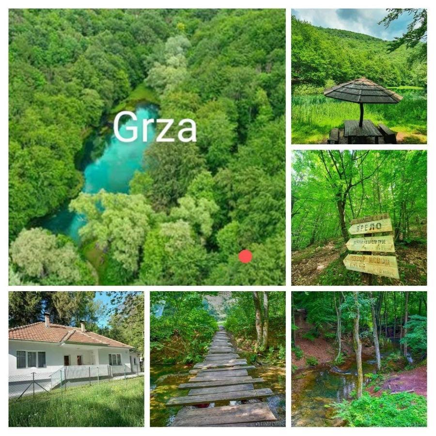 Apartmani Grza Paracin Bagian luar foto