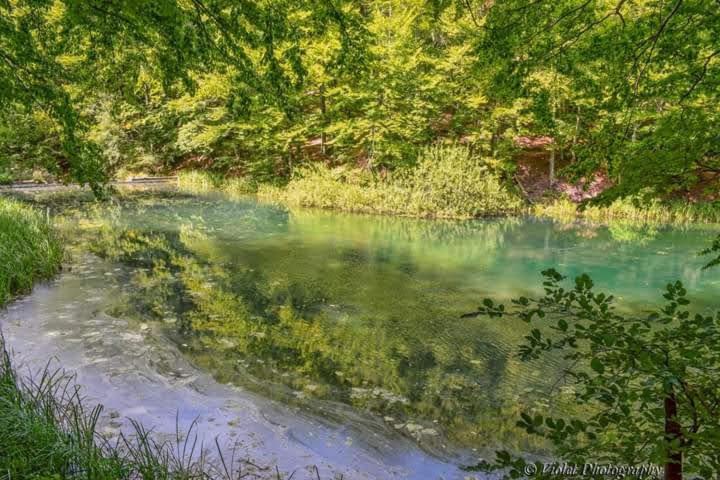 Apartmani Grza Paracin Bagian luar foto