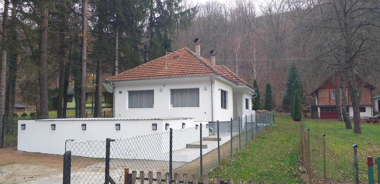 Apartmani Grza Paracin Bagian luar foto